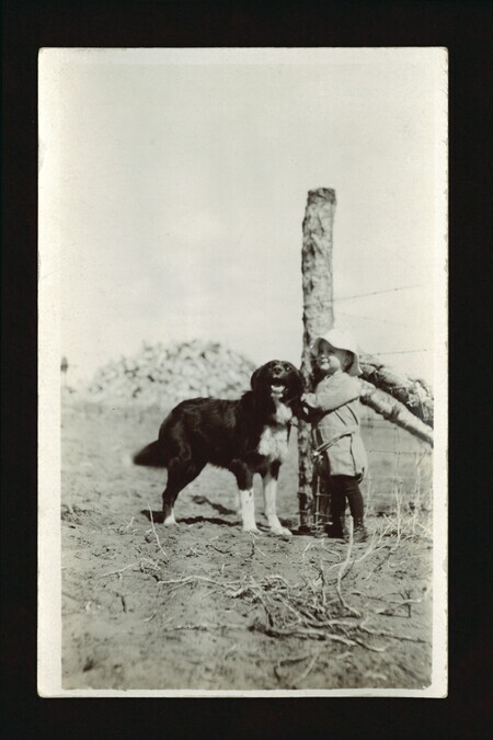 Scene of a girl and a dog standing beside a fence in Wainwright, Alberta.